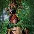 Les Hellébores - Art'monie - Déambulation nature avec échassier - Image 5
