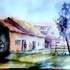 Stage de 4 jours AU JARDIN Aquarelle, PEINTURE,DESSIN, ET... - Image 38