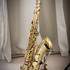 BLUE JAZZ LIVE - Duo - Trio - 4tet  - Image 15
