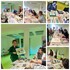 ATELIER de DESSIN et PEINTURE / Les Fleurs - Image 3