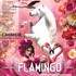 Spectacle "Flamingo" au Théâtre Equestre Camarkas