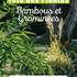 Fête des Plantes