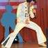 Jessy morgan sosie d'elvis presley - Image 4