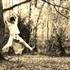 Funi Performeur - ouverture d'un site de danseur, 40 vidéo-performances sympas - Image 3