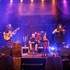 Gwen'N'Roses - Groupe festif irlandais  - Image 2