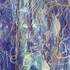 Stage de 4 jours AU JARDIN Aquarelle, PEINTURE,DESSIN, ET... - Image 51