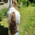 Donne licorne  - Image 4