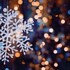 Le Fil à Plomb fait son Marché de Noël !