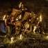 Burn 'n Light Biohazard