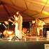 Swing'n'Sun spectacle latino