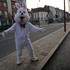Smout Festival  - Image 2
