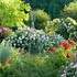 Les Jardins de Roquelin