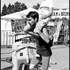 Mismo - Musette Circus - Image 5