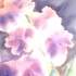 Stage de 4 jours AU JARDIN Aquarelle, PEINTURE,DESSIN, ET... - Image 49