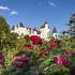 Fête des Roses - Image 2