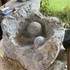 STAGE Sculpture sur pierre - Image 61