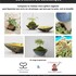 Stage Kokedama et son écrin en céramique