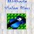 Le violon bleu - Initiation au violon sans solfège. - Image 10