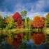 Arboretum des Grandes Bruyères - Image 5