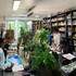 Atelier Carré d'Art's  - Cours et stages dessin-peinture 100% personnalisés 