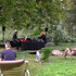 Concert au parc - Image 2
