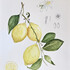 Ecole d'arts plastiques RB-Arts - Cours du soir de dessin et aquarelle tout niveau - Image 18