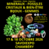 7ème Salon Minéraux Fossiles + Expo Dinomania