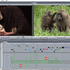Formation montage virtuel