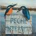 Mes Oiseaux Rares