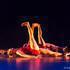 Compagnie Mouvance D'Arts - Spectacle Danse Chorégraphique - Vertiginous Lines - Image 31