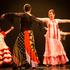 Ecole de danse Longpont Demain - Cours de danse Flamenco - Image 2