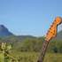 Festapic, Musique & vins au pied du Pic Saint-Loup - Image 2