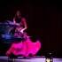 Association Mille et Une Danses - COURS STAGES SPECTACLES SOIREES Mille et Une Danses Oise - Image 3