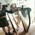 Violaine  - Cours harpe