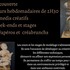 Le Val du Lys - Cours de sculpture modelage - création et modèle vivant - Image 2
