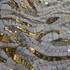 IULE AMADO-FISCHGRUND - Osez la mosaïque! - Image 5