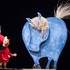 Compagnie L'Oiseau Manivelle - Spectacles de marionnettes pour enfants et tout publics - Image 4