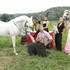 Spectacle Equestre