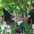 Autres regards sur l'Iran