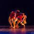 Compagnie Mouvance D'Arts - Spectacle Danse Chorégraphique - Vertiginous Lines - Image 33