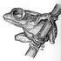 Michel Fontaine - Stages de dessin, peintures, sculptures 2D et 3D - Image 8