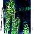  STAGE  MONOTYPE - Image 10