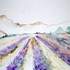 Brigitte-Noelle - cours d'aquarelle - Image 6