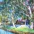 Cours de peinture huile/acrylique