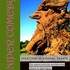 the juniper comedy - un parcours de sculptures dans la garrigue - création d'alexandra gerber