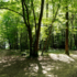Bois de Margnat