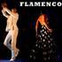 Al Andalus Flamenco Nuevo - École de danse flamenco, salsa, bachata ... - Image 3