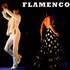 Al Andalus Flamenco Nuevo - École de danse flamenco, salsa, bachata ... - Image 3