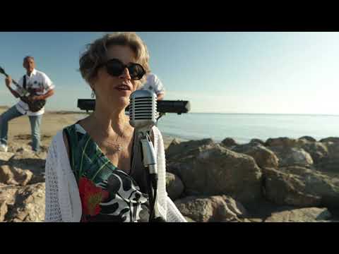 Album Souvenir - Reprises des meilleurs auteurs compositeurs interprètes 80'