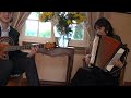 Voir la vidéo The Larcenists  - Duo Accordéon, Guitare, Chant - & DJ - Image 9